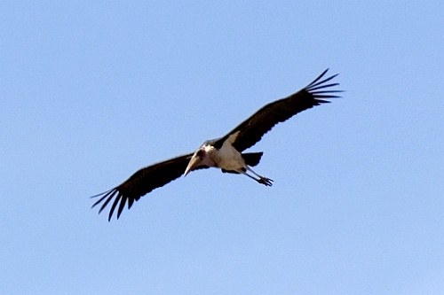 Kenia (177)